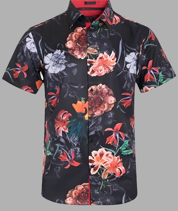 Tropic Dream II